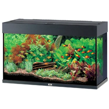 Juwel Rio 125L Sort