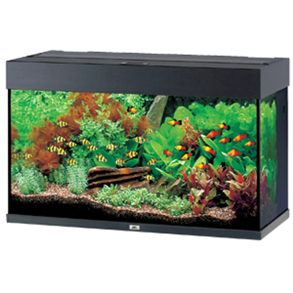 Juwel Rio 125L Sort