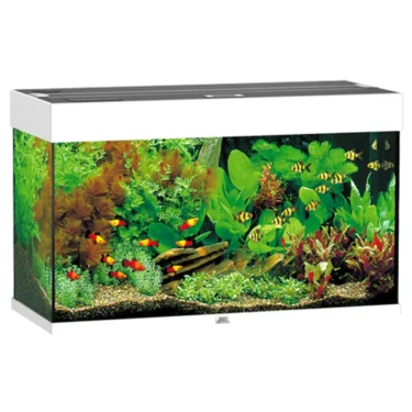 Juwel Rio 125L