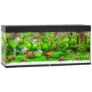 Juwel Rio 240l.