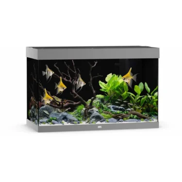 Juwel Rio 290l.