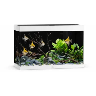 Juwel Rio 290l.