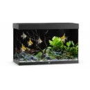 Juwel Rio 290l.