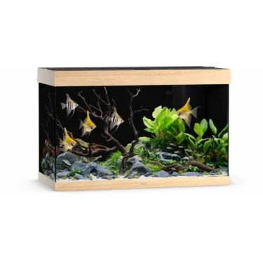 Juwel Rio 290l.