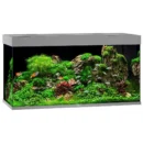 Juwel Rio 350l.