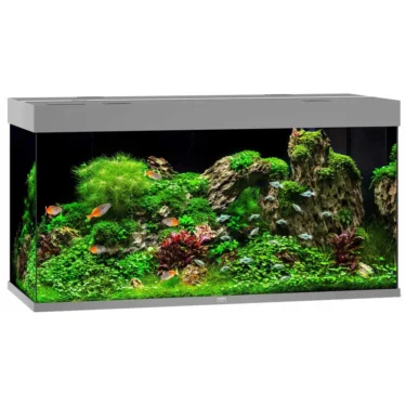 Juwel Rio 350l.