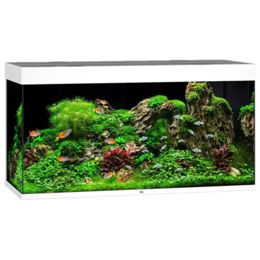 Juwel Rio 350l.