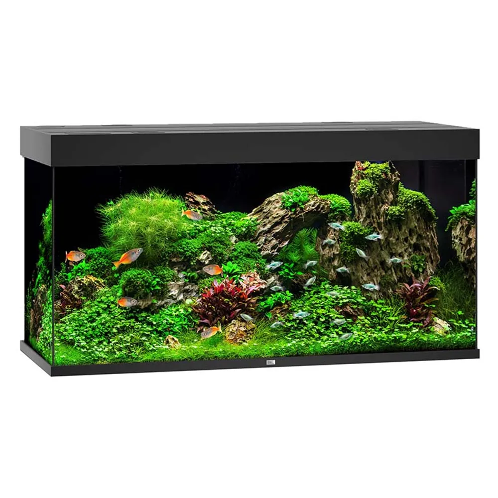 Juwel Rio 350l.