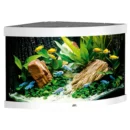 Juwel Trigon 190l.