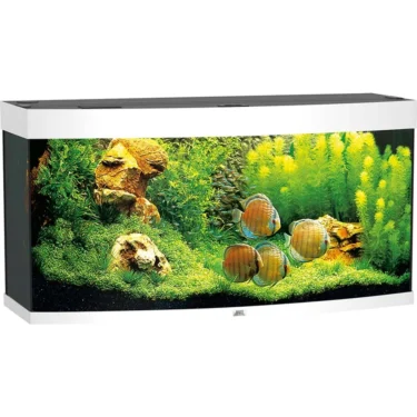 Juwel Vision 260l.